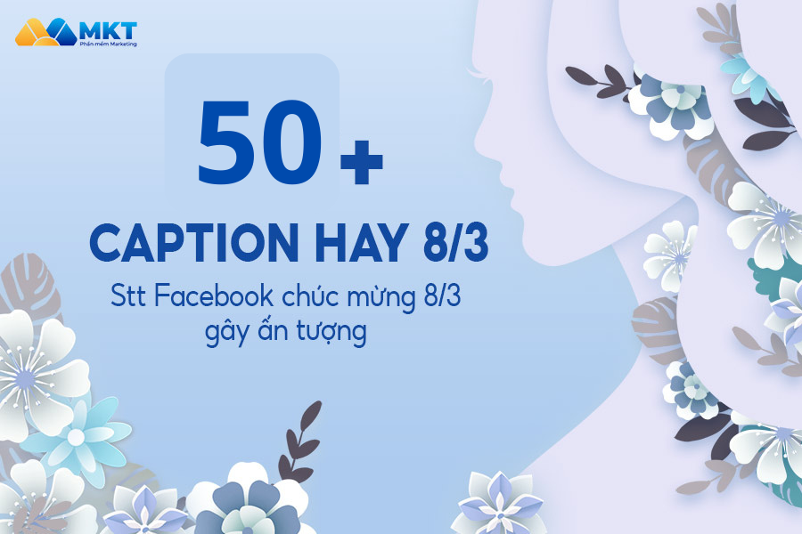 caption hay 8/3
