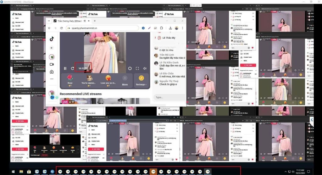 Seeding livestream Tiktok
