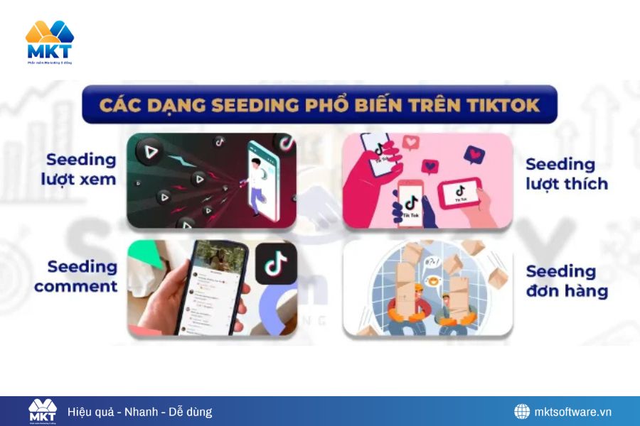 Các kiểu seeding cho Tiktok