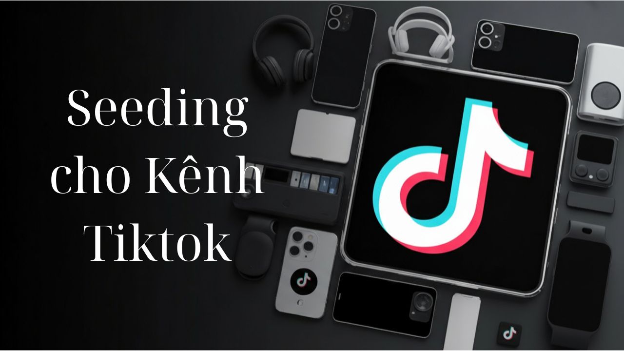 Tại sao cần seeding cho Tiktok